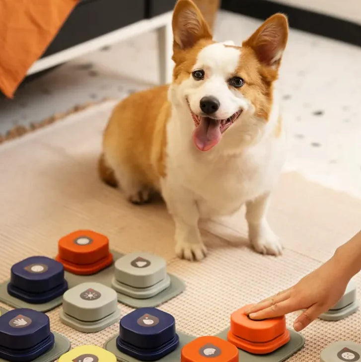 Pet Communication Button | Recordable Talking Button for Dogs & Cats