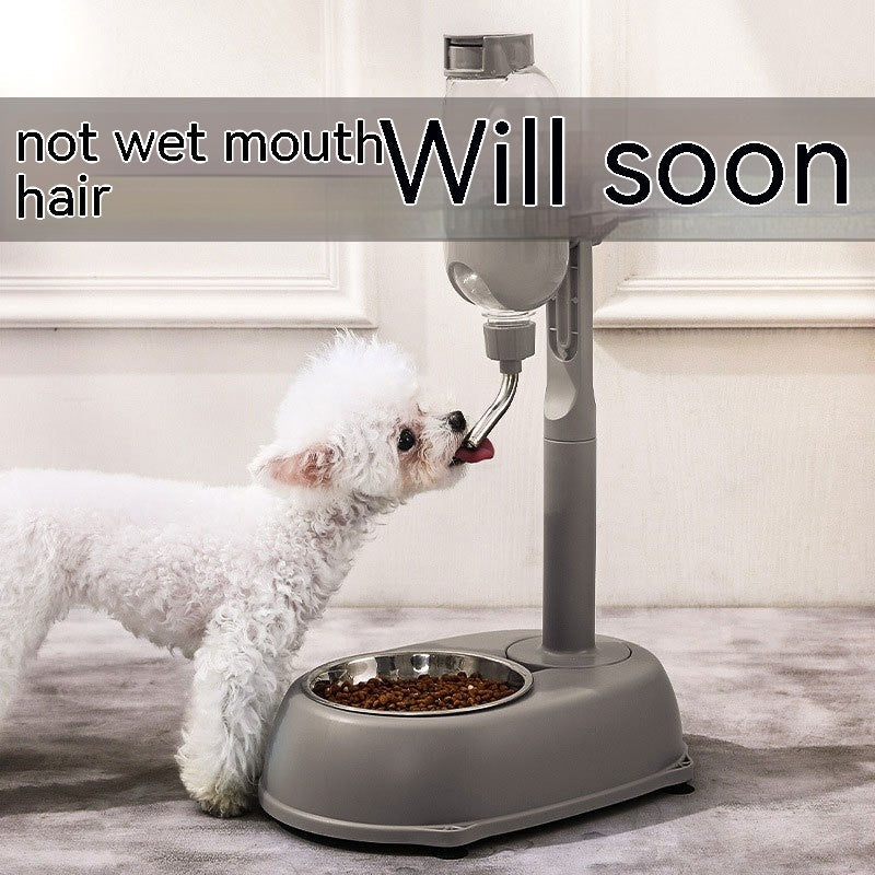 Non Wet Mouth and  adjustable water dispenser