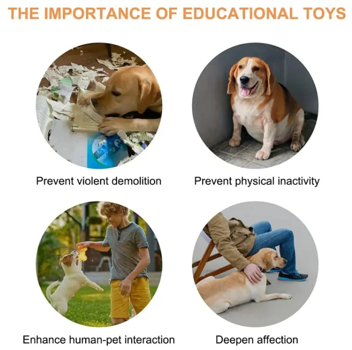 Pet Communication Button | Recordable Talking Button for Dogs & Cats