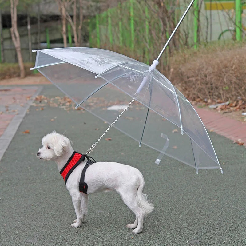 Dog Umbrella | Leash Attachment | Keep Your Pet Dry on Rainy Walks