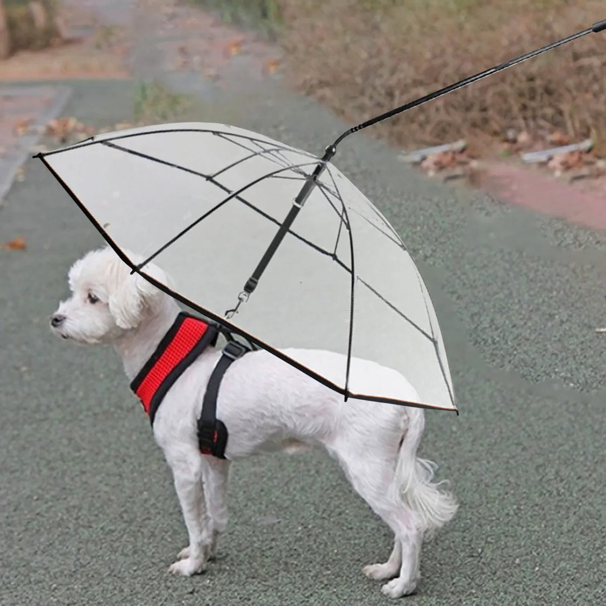 Dog Umbrella | Leash Attachment | Keep Your Pet Dry on Rainy Walks