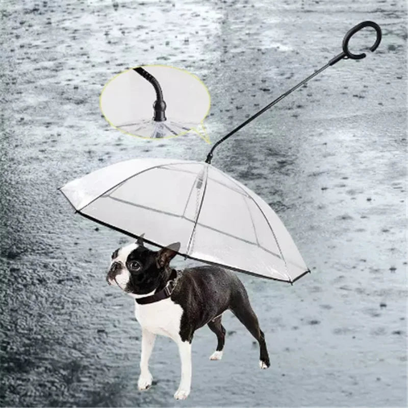 Dog Umbrella | Leash Attachment | Keep Your Pet Dry on Rainy Walks